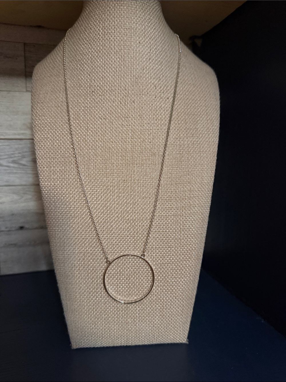 Lele Sadoughi Silver circle necklace